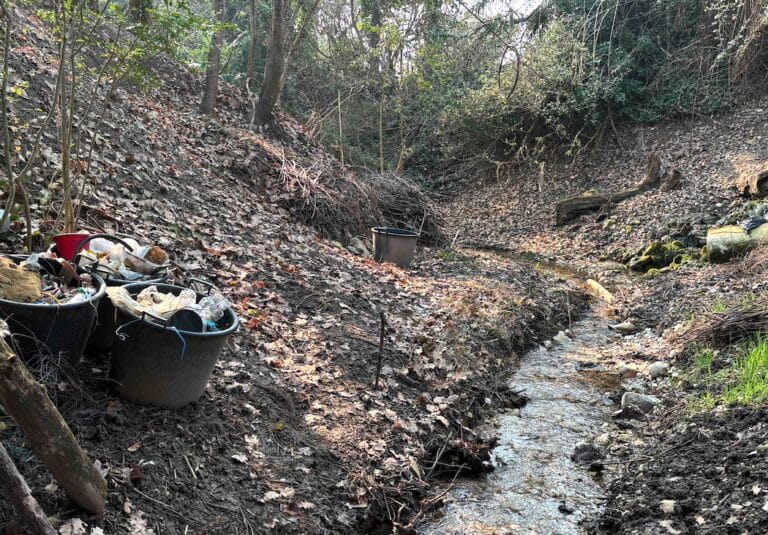 Laudato Si’ Project: Recovery of the San Severo Stream in Bardolino