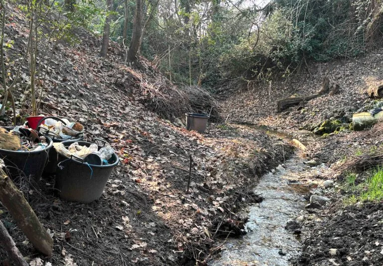 Laudato Si’ Project: Recovery of the San Severo Stream in Bardolino
