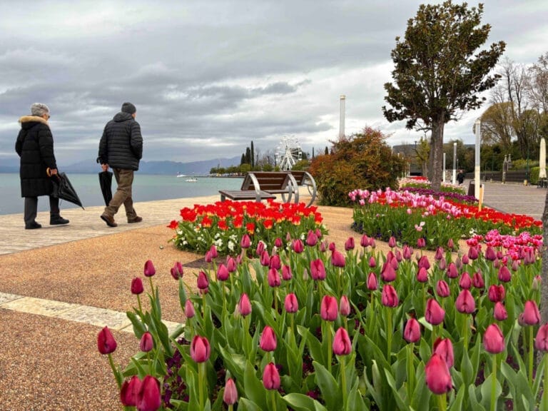 Tulipanomania” Photography Contest in Bardolino