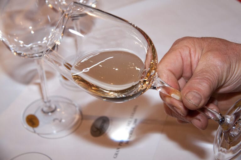 Lugana Festival: The First Event Dedicated to Wine Excellence on Lake Garda