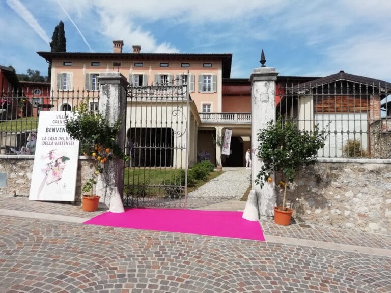 Success for “La Prima del Valtènesi” and preparations for Vinitaly
