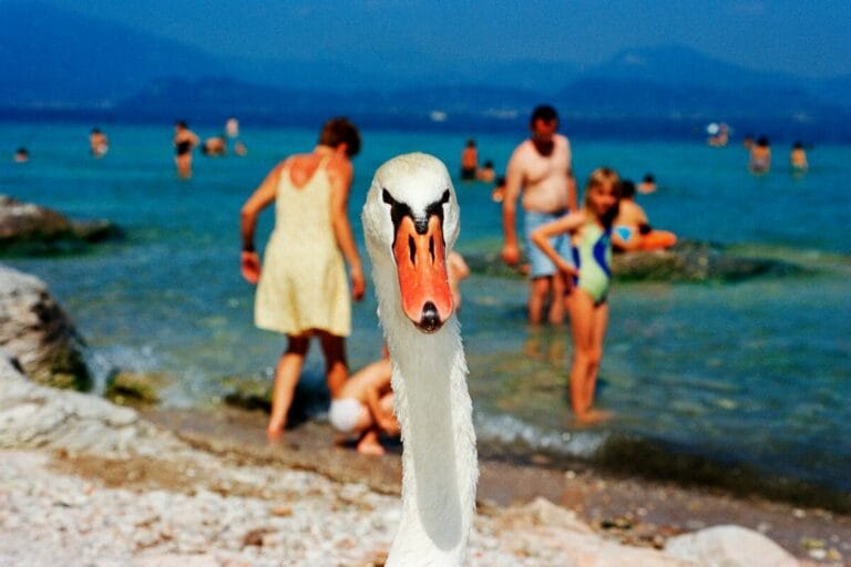Square Print Sale: Martin Parr’s Masterpieces in Sirmione