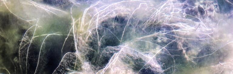 Frail Waters. Unbreakable Equations” by Pina Inferrera: Themes and Details