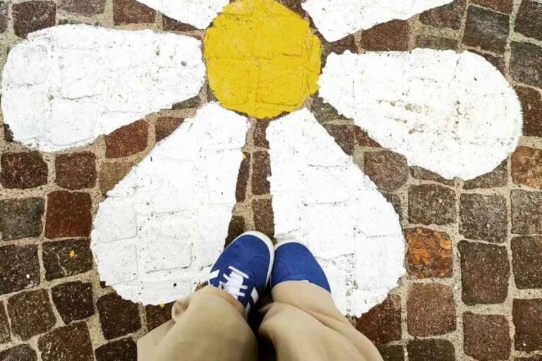 Daisies in Calchera: Salò celebrates the community and local history