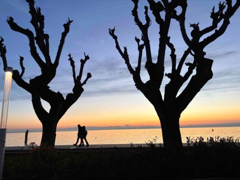 November events in Bardolino: theater, sports, and conferences