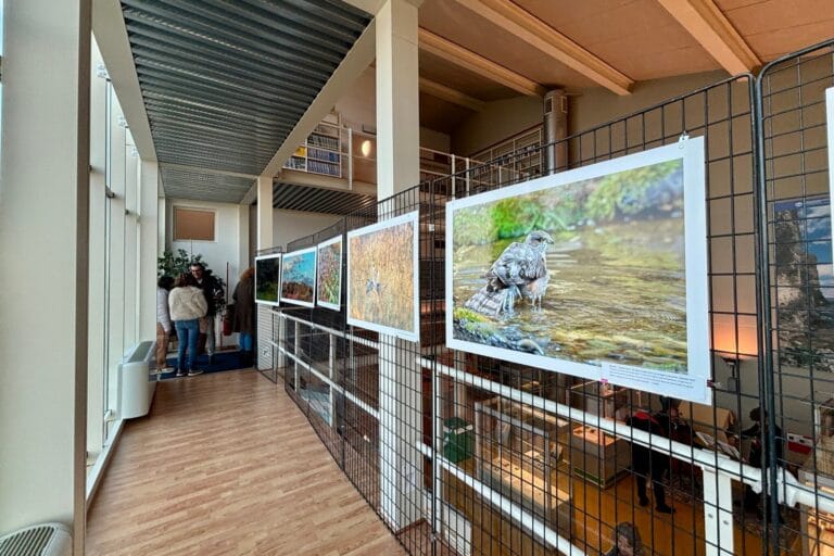 Benacus Mater: A Photographic Journey in the Heart of the Manerba Rock