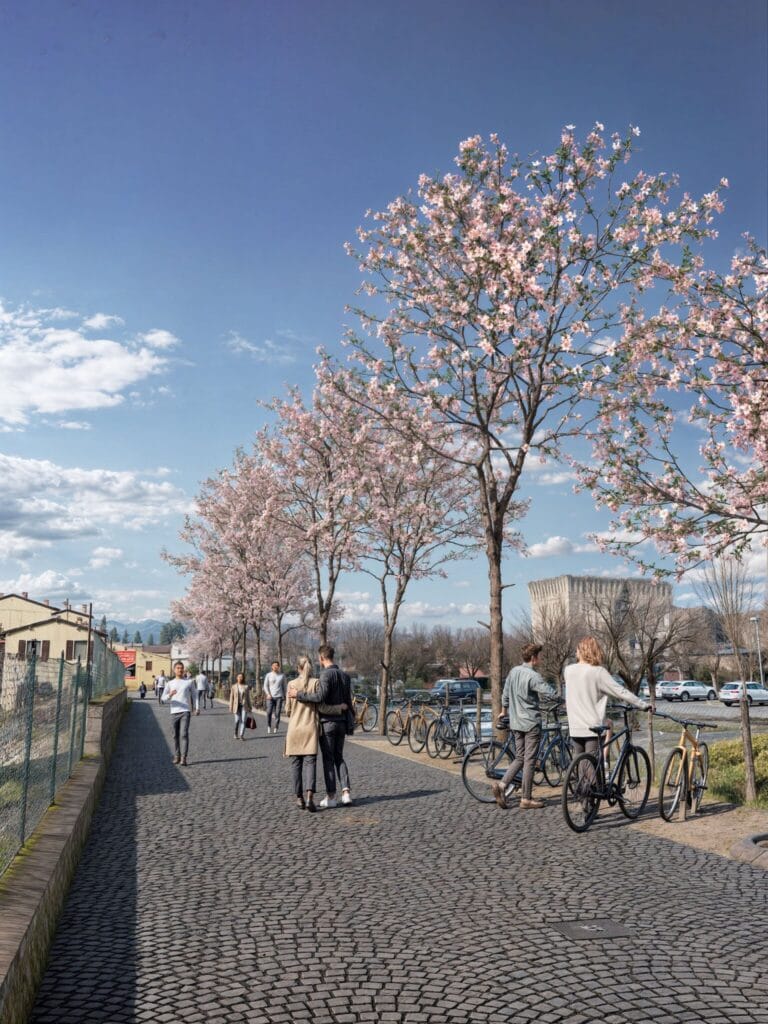 New Cherry Tree Avenue in Borghetto: Start of Works