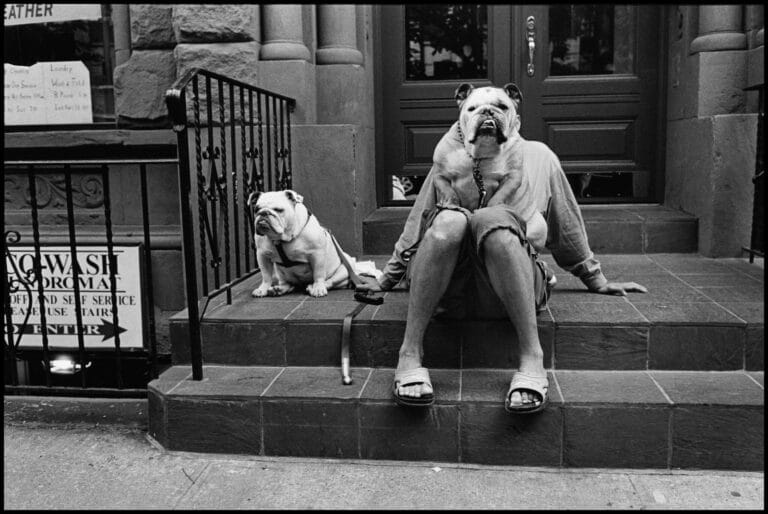 Sirmione hosts the exhibition “DogDogs” by Elliott Erwitt