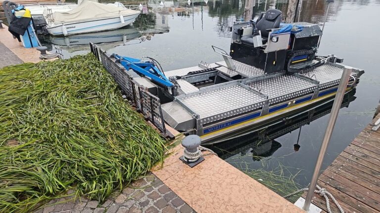 Extra Clean-Up in Bardolino: Algae Removal Begins at the Port Area