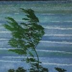 Desenzano Launches Tree Heritage Census with Agronomy and Forestry Experts