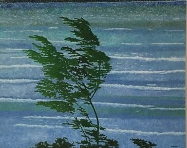 Desenzano Launches Tree Heritage Census with Agronomy and Forestry Experts