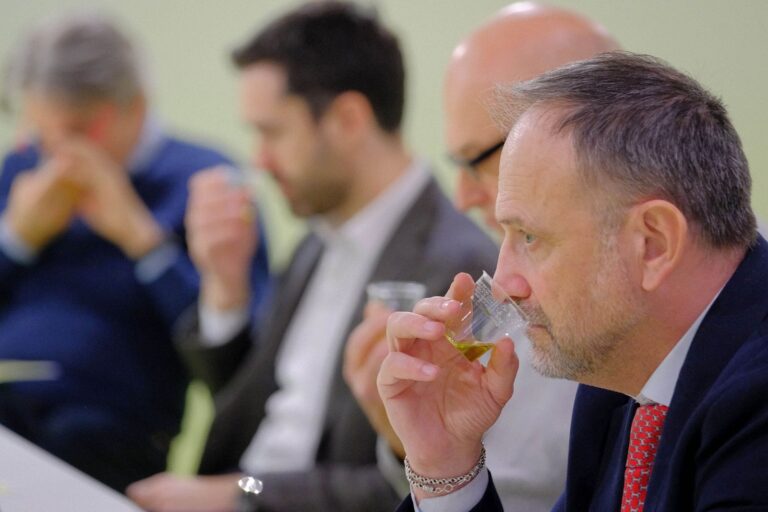 Verona Hosts Second Annual SOL Expo Showcasing Olive Oil Innovation Starting March 1