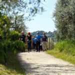 Explore San Felice del Benaco: A Journey Through Flavors and Historic Villages