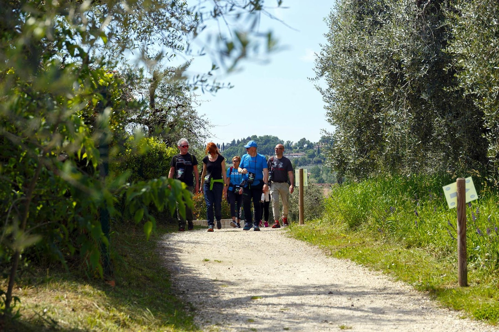 Explore San Felice del Benaco: A Journey Through Flavors and Historic Villages