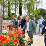 Bardolino Marks a Decade of Tulipanomania with 50,000 Blooming Tulips