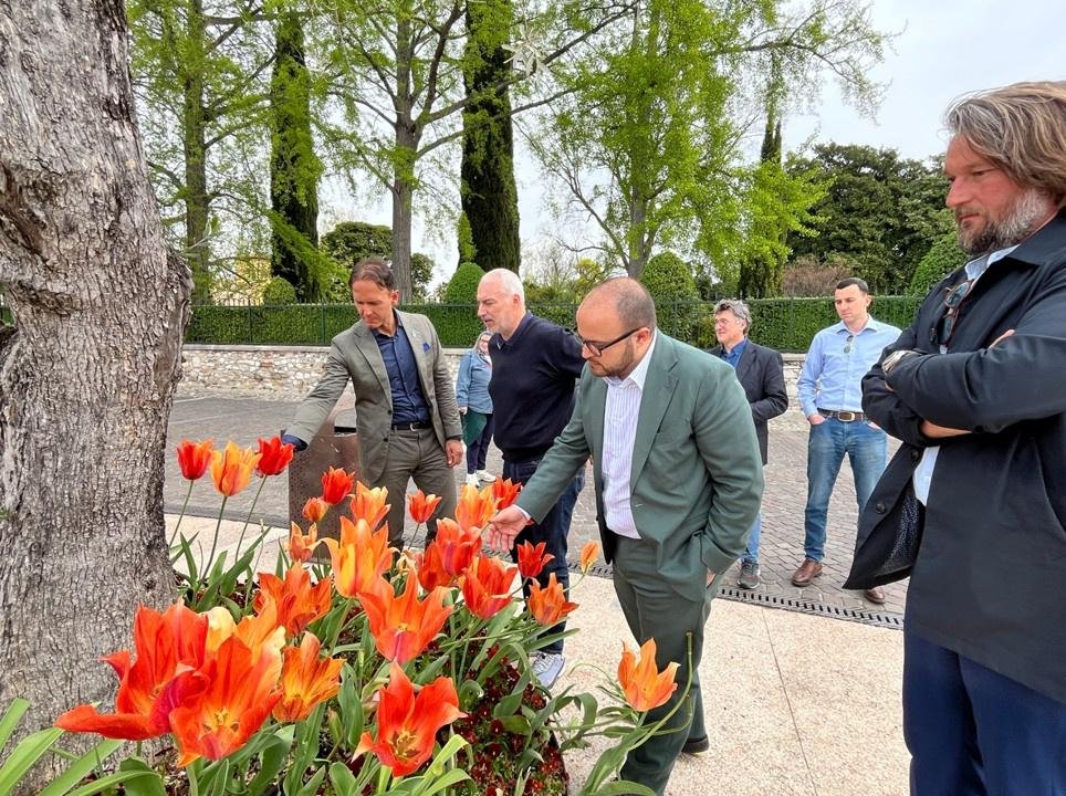 Bardolino Marks a Decade of Tulipanomania with 50,000 Blooming Tulips