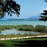 Fish Die-Off in Sirmione: Interventions Underway at Ganfo Pilandro and Other Mouths