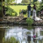Parco Sigurtà: June Blooms and Events Blend Nature, Wellness and Art