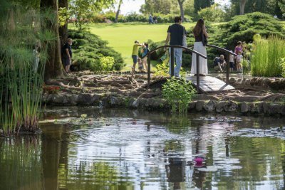Parco Sigurtà: June Blooms and Events Blend Nature, Wellness and Art
