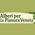 Bardolino Joins Regional Initiative to Protect Trees in the Po Valley