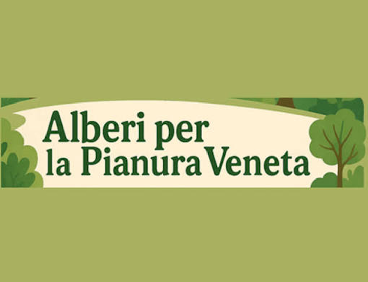 Bardolino Joins Regional Initiative to Protect Trees in the Po Valley