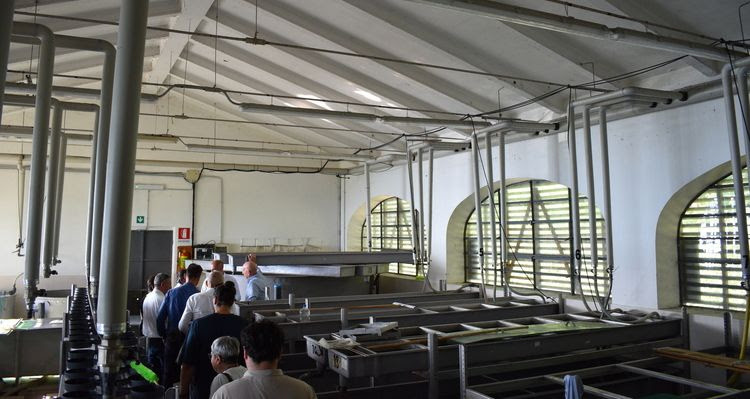 Bardolino: Fish Hatchery, Housing and Land Protection Among New Municipal Measures
