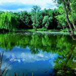 World Landscape Day in Castiglione delle Stiviere on September 6