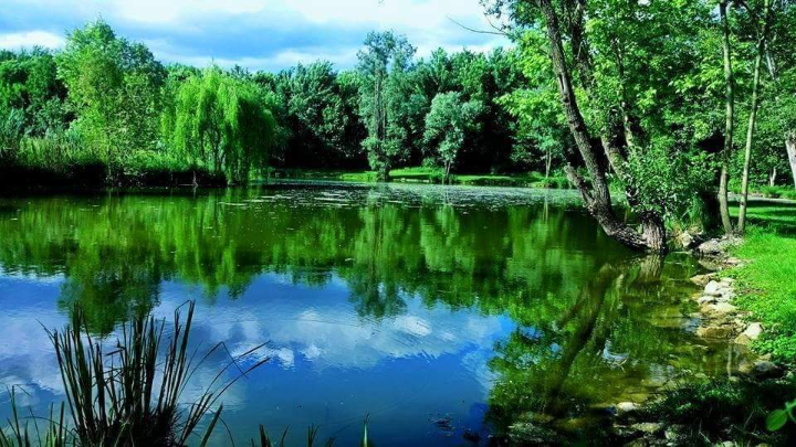 World Landscape Day in Castiglione delle Stiviere on September 6