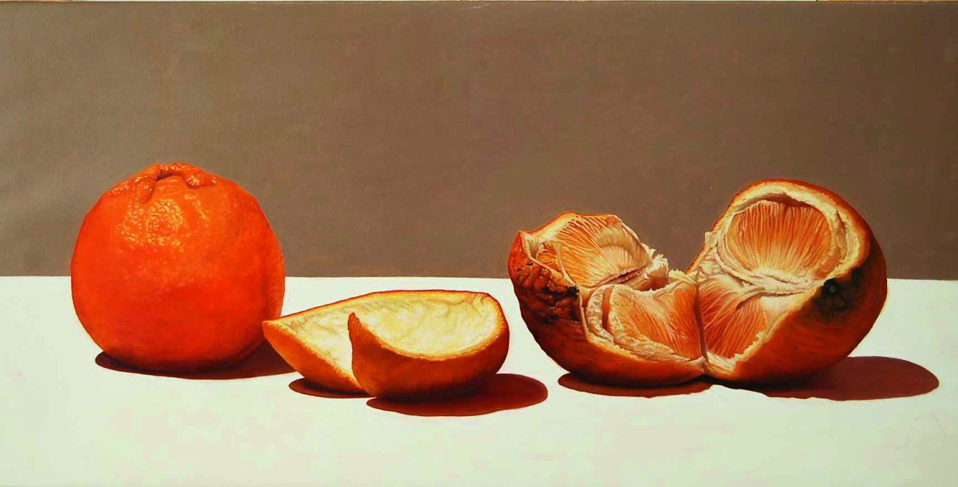 Patrizia Rota Brings Wonder to Desenzano in New Exhibition