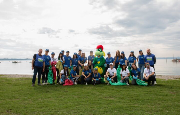 Lazise and Gardaland Collect 20 Tons of Waste in 24-Hour Global Clean-Up