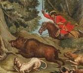 Wild boar in the dense oak and hornbeam woodlands of Lake Garda morainic hills