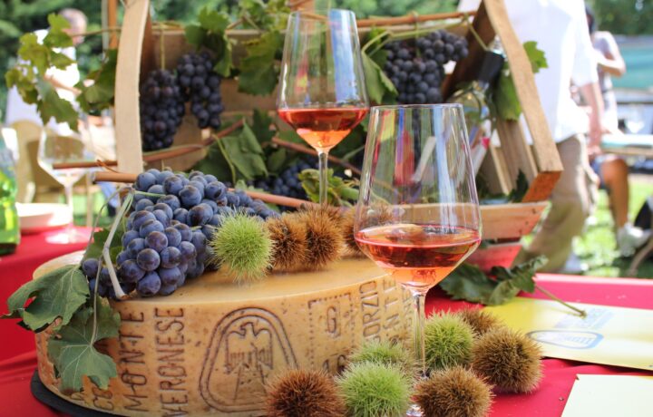 Wheel of Monte Veronese DOP cheese with chestnuts and Bardolino wine on Monte Baldo