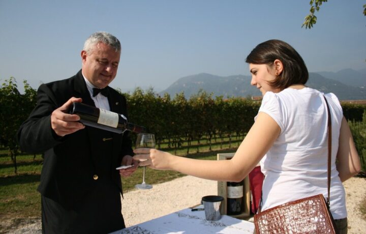 Wine tasting and autumn grape harvest during the Profumi di Mosto festival in Valtènesi, Lake Garda