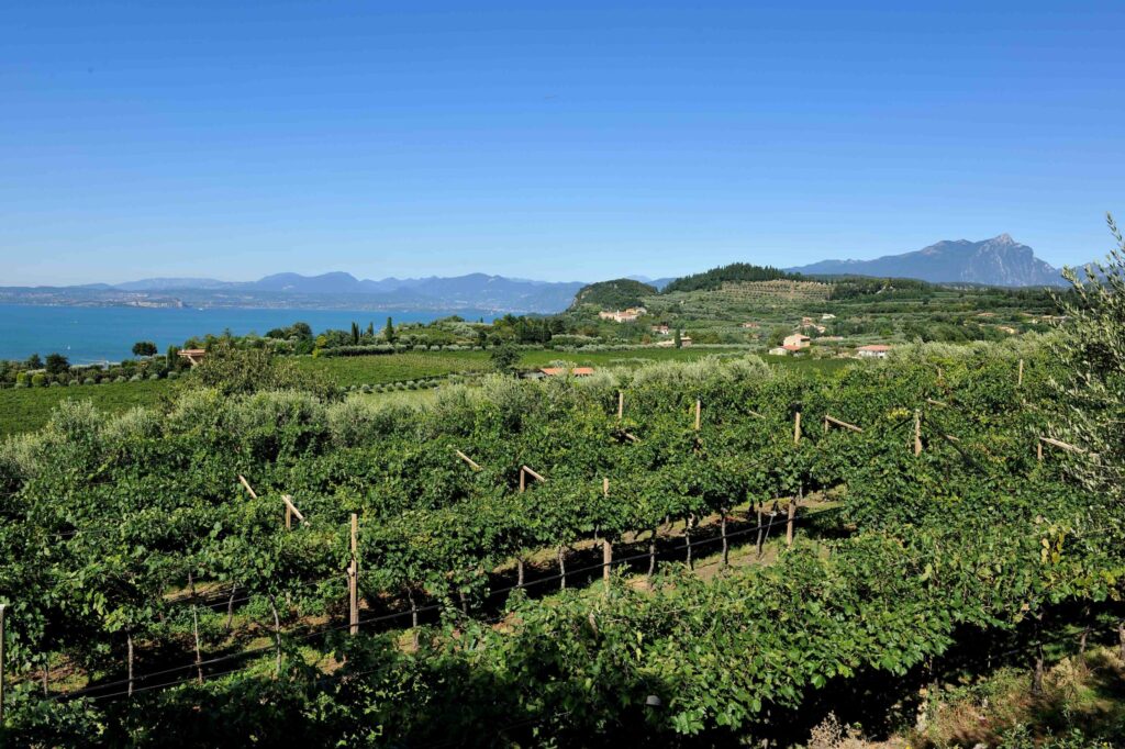 Autumn at Lake Garda: olive oil mills, harvest season, historic events and hilltop villages