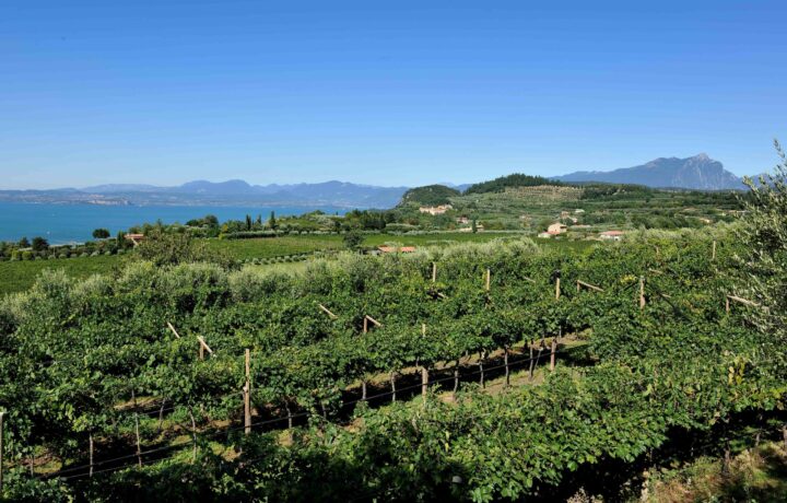 Autumn at Lake Garda: olive oil mills, harvest season, historic events and hilltop villages